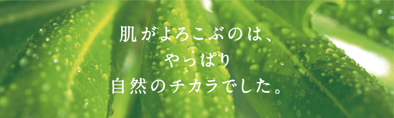 肌がよろこぶのは、やっぱり自然のチカラでした。